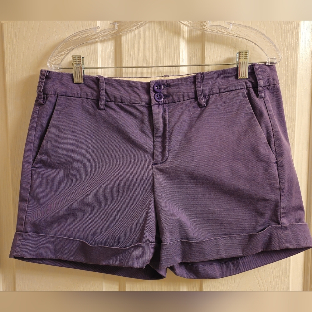Anthropologie Paper Boy Women's Purple Shorts